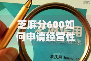 芝麻分600如何申请经营性贷款？条件与流程解析