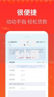 2025小额黑花口子贷款攻略：申请条件、风险解析及合规渠道推荐