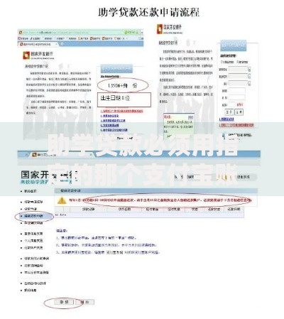 助学贷款必须用指定的那个支付宝账号还吗？这些方式更灵活