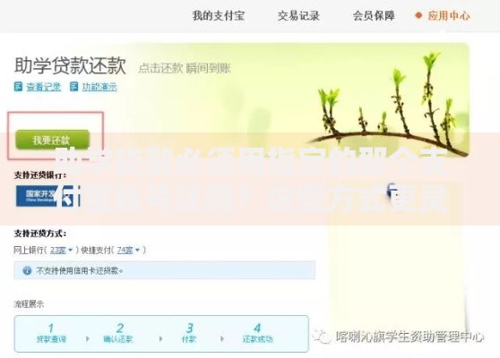 助学贷款必须用指定的那个支付宝账号还吗？这些方式更灵活