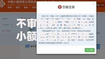 不审核秒下款的小额贷款如何申请与风险防范