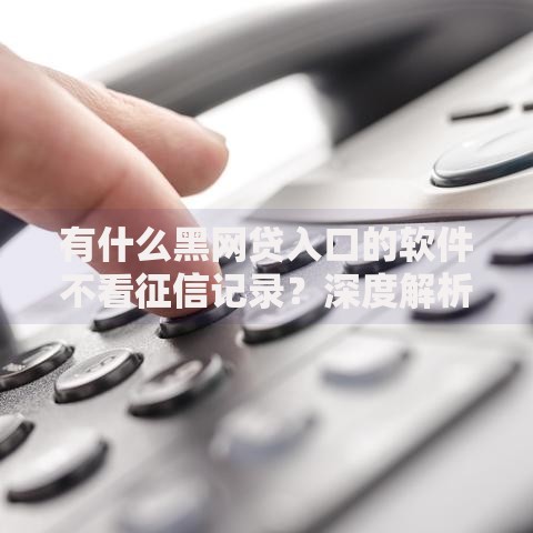 有什么黑网贷入口的软件不看征信记录？深度解析与风险警示