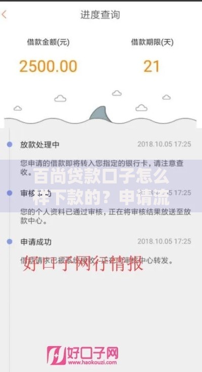 百尚贷款口子怎么样下款的？申请流程、条件及注意事项解析