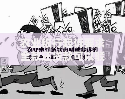 农业银行起诉要求全款还贷款可以驳回吗？法律解析与应对