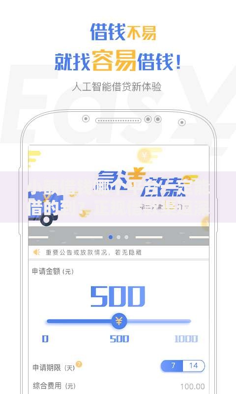 小额借钱哪个平台一定能借的到？正规借款渠道深度解析