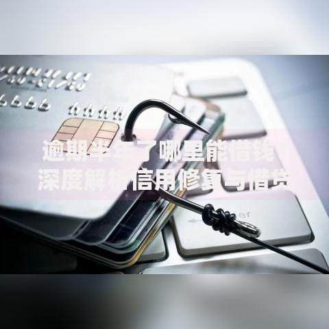 逾期半年了哪里能借钱？深度解析信用修复与借贷渠道