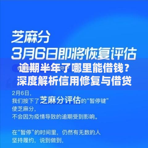 逾期半年了哪里能借钱？深度解析信用修复与借贷渠道