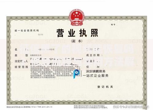 征信黑了的视频能恢复吗？修复流程与实用方法解析