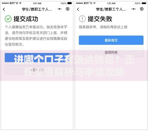 进哪个口子有速达钱包？正规渠道解析与申请攻略