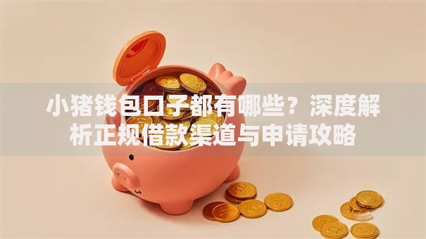 小猪钱包口子都有哪些？深度解析正规借款渠道与申请攻略