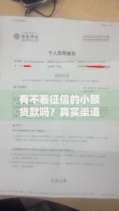 有不看征信的小额贷款吗？真实渠道与风险全解析