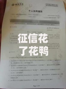 征信花了花鸭能过吗？征信不良用户必看的贷款攻略