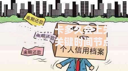 逾期信用卡多久会上失信名单？关键时间节点解析