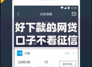 好下款的网贷口子不看征信可以吗？真实风险解析与避坑指南