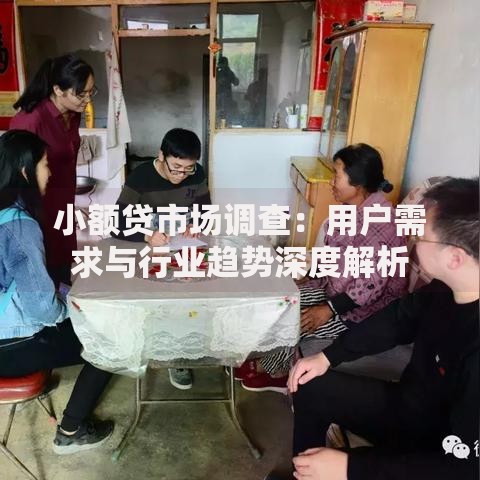 小额贷市场调查：用户需求与行业趋势深度解析