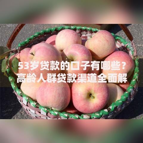 53岁贷款的口子有哪些？高龄人群贷款渠道全面解析