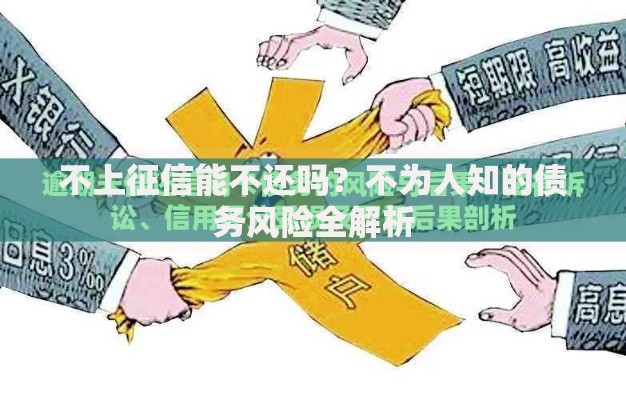 不上征信能不还吗？不为人知的债务风险全解析