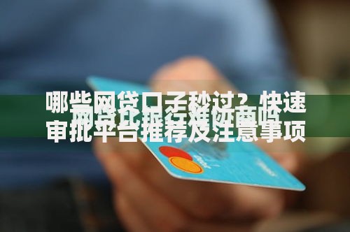 哪些网贷口子秒过？快速审批平台推荐及注意事项