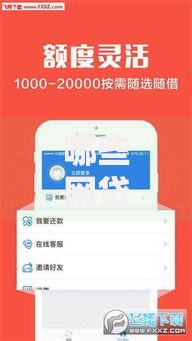 哪些网贷口子秒过？快速审批平台推荐及注意事项