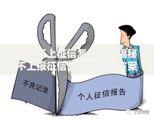 按揭不上征信怎么办？揭秘不上报征信的贷款解决方案
