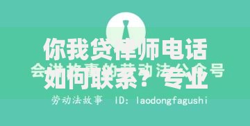 你我贷律师电话如何联系？专业解答贷款法律疑问