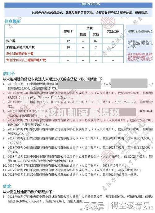 哪个网贷不查征信？真实审核机制深度揭秘