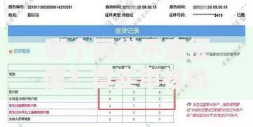 哪个网贷不查征信？真实审核机制深度揭秘