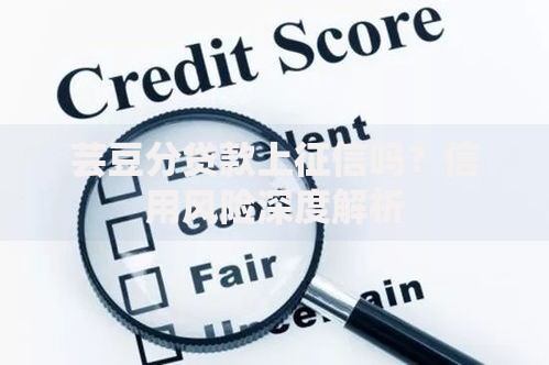 芸豆分贷款上征信吗?信用风险深度解析 芸豆分贷款上征信吗?信用风险深度解析