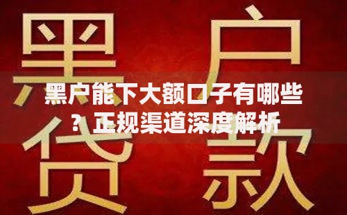 黑户能下大额口子有哪些？正规渠道深度解析