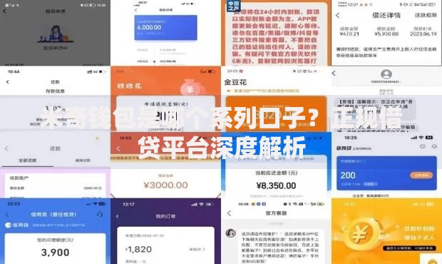 米奇钱包是哪个系列口子？正规借贷平台深度解析