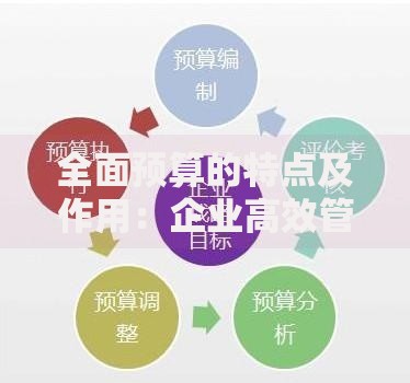 全面预算的特点及作用：企业高效管理的秘密武器