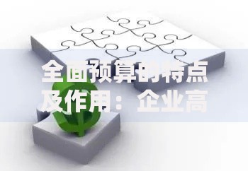 全面预算的特点及作用：企业高效管理的秘密武器