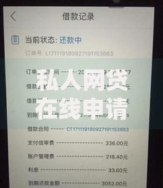 私人网贷在线申请:资质要求与安全借款全解析 私人网贷在线申请:资质要求与安全借款全解析