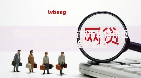 网黑行业变革：贷款市场信用重构与风险防控新路径