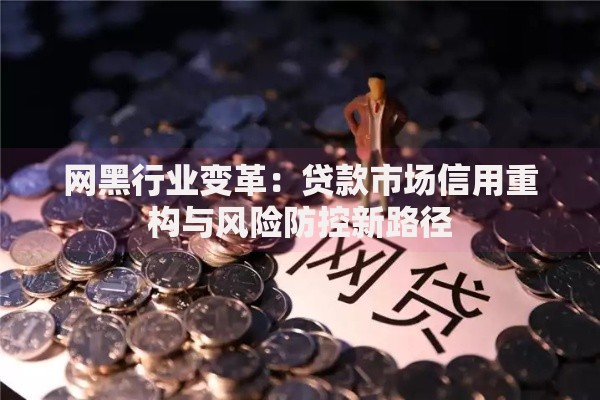 网黑行业变革：贷款市场信用重构与风险防控新路径