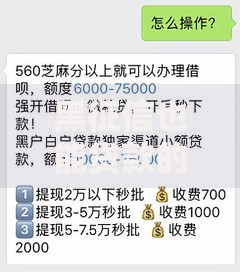 黑征信也能贷款的网贷3000元能下款吗？真实渠道解析