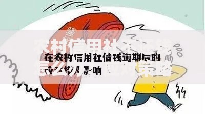 农村信用社不还钱怎么办？应对策略与法律途径解析