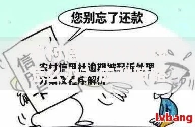 农村信用社不还钱怎么办？应对策略与法律途径解析