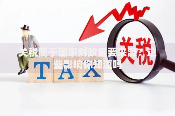 关税属于国家财政重要来源？这些影响你知道吗