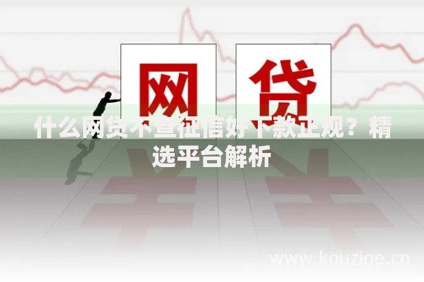 什么网贷不查征信好下款正规？精选平台解析