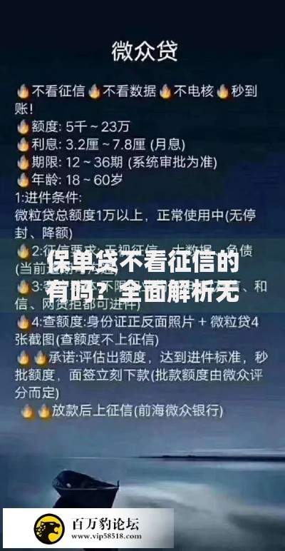 保单贷不看征信的有吗？全面解析无征信贷款要求
