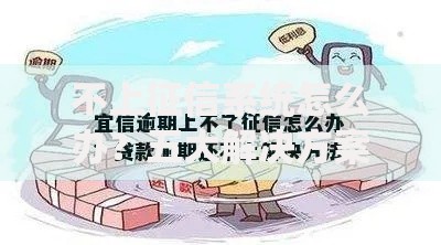 不上征信系统怎么办？五大解决方案助您轻松解决