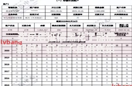 买房后征信黑花了能借款吗？征信不良借贷策略解析
