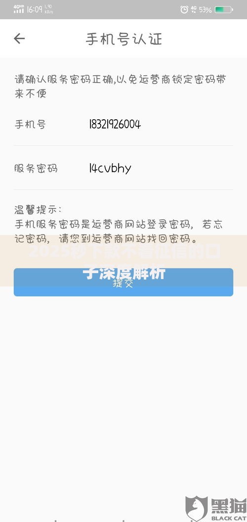 2025秒下款不看征信的口子深度解析