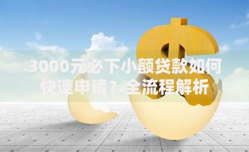 3000元必下小额贷款如何快速申请？全流程解析