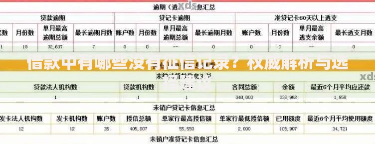 借款中有哪些没有征信记录？权威解析与选择建议