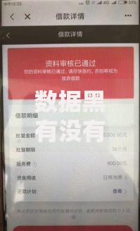 数据黑有没有下款口子？深度解析与合法借款方案