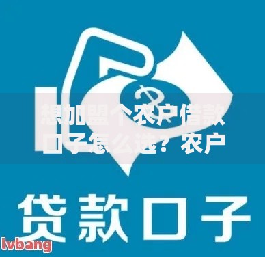 想加盟个农户借款口子怎么选？农户贷款加盟全解析