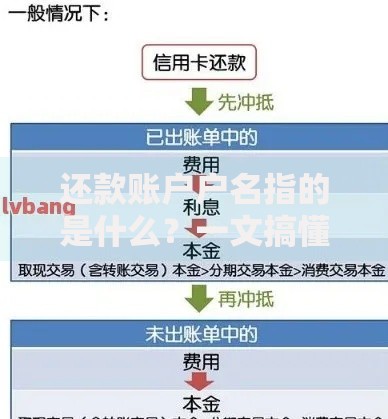 还款账户户名指的是什么？一文搞懂填写要点与常见问题