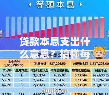 贷款本息支出什么意思？搞懂每月还款到底在还啥